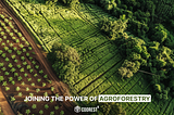 Joining the Power of Agroforestry: A Sustainable Solution for Prosperity and Planet