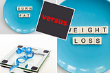 weight loss vs fat loss