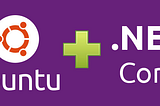 Host Asp.Net Core Web API and MySql with Nginx on a DigitalOcean 5$ Ubuntu 18.04 Droplet