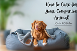 Caring for Your Companion Animal | John Rosata