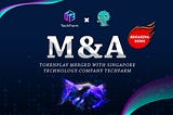 Tokenplay merged by Singapore technology company TechFarm