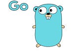 Golang: the Bad, the Good and the Ugly