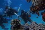 Scuba Diving in the Philippines — 6 Top Spots