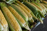 The Controversy on Genetically Modified Corn