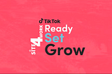 How we grew a Site4work to become one of the most famous web development agencies on TikTok