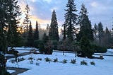 Snowy Sunrise, trees, clouds, snow.