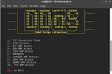 Understanding DDoS Attacks: A Comprehensive Guide