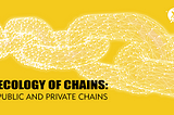 Ecology of Chains: Public And Private Chains