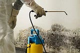 Mold Remediation | Abovewater911