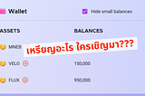 เหรียญประหลาดโผล่ใน Wallet เราได้ยังไง แล้วต้องทำอะไรกับมัน?