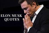 Elon Musk Quotes On Risk & Future — Inspirational Quotes at Quotes Tube