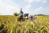 Will Gyeonggi-do’s Rural Basic Income experiment be effective outside the laboratory in the real…