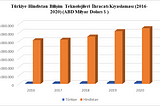 YAZILIM TEKNOLOJİLERİNİN ÜLKE EKONOMİSİNE KATKILARI