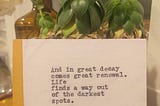 A postcard designed by Tyler Knott, propped up against a plant in the background. The card reads,  ‘And in great decay comes great renewal. Life finds a way out of the darkest spots’.