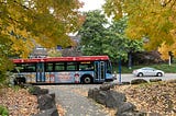 A TriMet bus with a Kombucha ad on the side of it framed by maple trees in yellow fall color leaves.