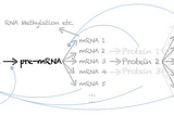 Why systems biology needs empiricism