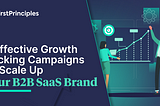 6 Effective Growth Hacking Campaigns to Scale Up Your B2B SaaS Brand