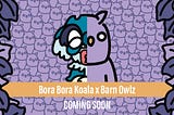 Bora Bora Koala x Barn Owlz