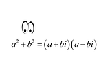 Sum of Squares DOES Factor