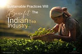 Sustainable Practices in Indian Tea Plantations