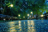 Rainy Night, Central Park, New York City