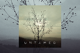 Lyric Roy — Untamed