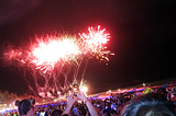 Fireworks Traumatize & Kill Animals