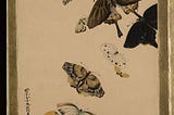 Lacquer Paintings of Various Subjects: Butterflies  dated 1881 by Shibata Zeshin Japanese