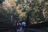 DePaul Professor leads students on a 4 day mindfulness and meditation retreat to Starved Rock