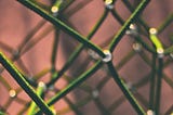 Recommender System Metrics — Clearly Explained