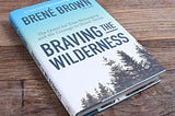 Braving The Wilderness Book Review