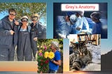 Photos of the female author ready to go on whale watching trip with her grandkids, of the author holding dahlias in the garden, of her cat, Darwin, and an image of surgeons with the words ‘Grey’s Anatomy’.