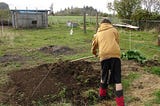 Clear the Soil: Cultivating a Renewed Mind in Christ