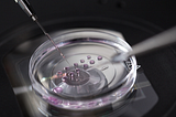 In-Vitro Fertilization