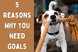 5 Reasons Why You Need Goals