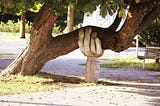 A tree leaning over and resting on a statue of a hand appearing to be holding the tree from falling on the ground.