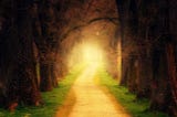 Source: https://pixabay.com/photos/tree-forest-path-light-forest-path-3094982/