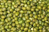 So what is a mung bean anyway?