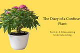 The Diary of a Confused Plant — Part 6: A Blossoming Understanding