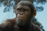‘Kingdom of the Planet of the Apes’ Film Review