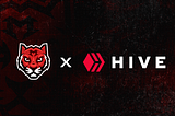 Hive and Mazer Reaffirm Partnership