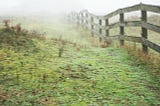 field fence in the mist