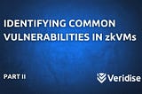 Identifying common vulnerabilities in zkVMs