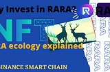 Why Invest in RARA?