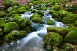 Java 8 Streams: .filter and Predicate Negation