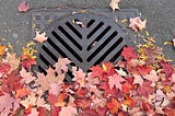A storm drain on an asphalt road is partially covered with fallen autumn leaves. The leaves are in various shades of red, orange, and brown, indicating the fall season. The drain has a distinctive V-shaped pattern with parallel slits for water to pass through. Some small yellow seed pods are also scattered among the leaves.