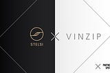 STELSI Partnership Spotlight: VINZIP Architect