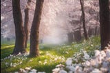 From winter to spring in God’s timing