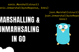 Efficient Marshalling & Unmarshalling in GO