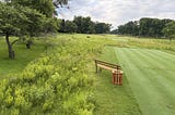 Heat Wave Forecasted! Peak Weed Pressure, Good Roots, Dollar Spot and Pollinator Week Research